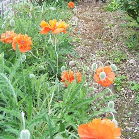 Nyaraló L'ajoussienne Ajou